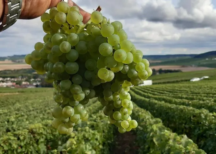 Les Doyennes Brugny-Vaudancourt